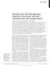 Somatic Stem Cell Heterogeneity: Diversity in the Blood, Skin, and Intestinal Stem Cell Compartments