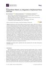 Extracellular Matrix as a Regulator of Epidermal Stem Cell Fate