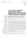 In Ovo Injection of CHIR-99021 Promotes Feather Follicle Development via Modulating the Wnt Signaling Pathway and Transcriptome in Goose Embryos