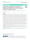 Synchronous Profiling and Analysis of mRNAs and ncRNAs in the Dermal Papilla Cells from Cashmere Goats