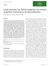 Gata6 Promotes Hair Follicle Progenitor Cell Renewal by Genome Maintenance During Proliferation