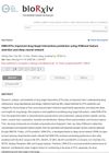 DNN-DTIs: Improved Drug-Target Interactions Prediction Using XGBoost Feature Selection and Deep Neural Network