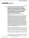 Identification of Potential Key Genes and Pathways Associated with the Pashmina Fiber Initiation Using RNA-Seq and Integrated Bioinformatics Analysis