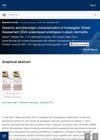 Genomic and Phenotypic Characterization of Investigator Global Assessment (IGA) Scale-Based Endotypes in Atopic Dermatitis
