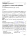 Tactile Sensitivity in the Rat: A Correlation Between Receptor Structure and Function