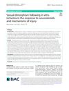 Sexual Dimorphism Following In Vitro Ischemia in the Response to Neurosteroids and Mechanisms of Injury