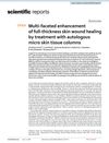 Multi-Faceted Enhancement of Full-Thickness Skin Wound Healing by Treatment with Autologous Micro Skin Tissue Columns