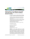 Polymorphism in the A2M Gene Associated with High-Quality Milk in Murrah Buffaloes (Bubalus Bubalis)