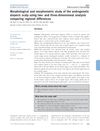 Morphological and Morphometric Study of the Androgenetic Alopecic Scalp Using Two- and Three-Dimensional Analysis Comparing Regional Differences