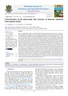 Characteristics of the Microscopic Hair Structure of Domestic Mammals from the Equidae Family