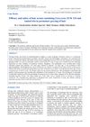 Efficacy and Safety of Hair Serum Containing Greyverse, EUK 134, and Amisol Trio in Premature Greying of Hair