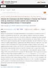 Vitamin B12 Activates the Wnt-Pathway in Human Hair Follicle Cells by Induction of Beta-Catenin and Inhibition of Glycogen Synthase Kinase-3 Transcription