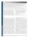Epigenetic Control of Skin and Hair Regeneration After Wounding