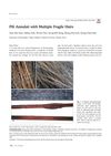 Pili Annulati with Multiple Fragile Hairs