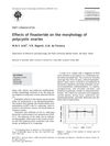 Effects of Finasteride on the Morphology of Polycystic Ovaries