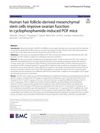 Human Hair Follicle-Derived Mesenchymal Stem Cells Improve Ovarian Function in Cyclophosphamide-Induced POF Mice