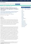 Regulation of Feather Follicle Development and Msx2 Gene SNP Degradation in Hungarian White Goose