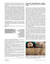 Decreased Benzothiazole-Type Pheomelanin in Regrown Brown Hair in Alopecia Areata