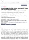 Beta-Nicotinamide Mononucleotide Promotes Cell Proliferation and Hair Growth by Reducing Oxidative Stress