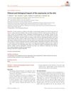 Clinical and Biological Impact of the Exposome on the Skin