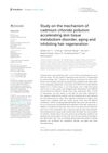 Study on the Mechanism of Cadmium Chloride Pollution Accelerating Skin Tissue Metabolism Disorder, Aging and Inhibiting Hair Regeneration