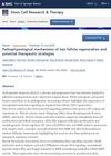 Pathophysiological Mechanisms of Hair Follicle Regeneration and Potential Therapeutic Strategies