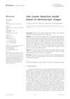 Hair Cluster Detection Model Based on Dermoscopic Images
