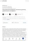Transcriptional and Epigenetic Mechanisms Governing Epidermal Stem Cell Regulation