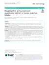 Mapping of Cis-Acting Expression Quantitative Trait Loci in Human Scalp Hair Follicles