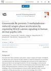 Ginsenoside Re Prevents 3-Methyladenine-Induced Catagen Phase Acceleration by Regulating Wnt/Beta-Catenin Signaling in Human Dermal Papilla Cells