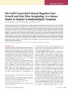 The G60S Connexin43 Mutant Regulates Hair Growth and Hair Fiber Morphology in a Mouse Model of Human Oculodentodigital Dysplasia