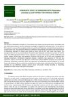 Synergistic Effect of Sorafenib with Platycladus Orientalis Leaf Extract on Cervical Cancer