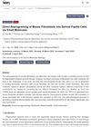 Direct Reprogramming of Mouse Fibroblasts into Dermal Papilla Cells via Small Molecules