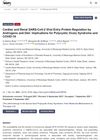 Cardiac and Renal SARS-CoV-2 Viral Entry Protein Regulation by Androgens and Diet: Implications for Polycystic Ovary Syndrome and COVID-19