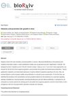 Glutamic Acid Promotes Hair Growth in Mice