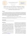 Erbium YAG Laser in the Treatment of Androgenetic Alopecia