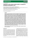 OsUEV1B, a Ubc Enzyme Variant Protein, Is Required for Phosphate Homeostasis in Rice
