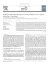 Studying the Genetic Predisposing Factors in the Pathogenesis of Acne Vulgaris