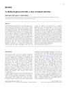 5α-Reduced Glucocorticoids: A Story of Natural Selection