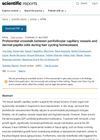 Preferential Crosstalk Between Perifollicular Capillary Vessels and Dermal Papilla Cells During Hair Cycling Homeostasis