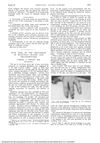 Aloe Vera in the Treatment of Roentgen Ulcers and Telangiectasis