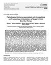 Pathological Lesions Associated With Cordylobia Anthropophaga Infestations of Dogs in Kitui County, Kenya