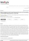 Nitrate Promoting Hair Growth Through Enhancing Wnt/β-Catenin and Downregulating TGF-β/Smad/BMP Signaling Pathway in C57BL/6 Mice