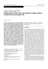 Inhibitory Effects of bFGF, VEGF, and Minoxidil on Collagen Synthesis by Cultured Hair Dermal Papilla Cells