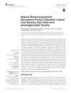 Natural Bisbenzylisoquinoline Derivatives Protect Zebrafish Lateral Line Sensory Hair Cells from Aminoglycoside Toxicity