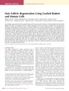 Hair Follicle Regeneration Using Grafted Rodent and Human Cells