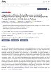 Iris Germanica L. Rhizome-Derived Exosomes Ameliorated Dihydrotestosterone-Damaged Human Follicle Dermal Papilla Cells Through the Activation of Wnt/β-Catenin Pathway