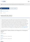 Ar/miR-221/IGF-1 Pathway Mediates the Pathogenesis of Androgenetic Alopecia