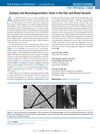 Epilepsy and Neurodegeneration: Clues in the Hair and Blood Vessels