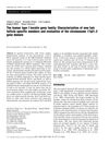 The Human Type I Keratin Gene Family: Characterization of New Hair Follicle Specific Members and Evaluation of the Chromosome 17q21.2 Gene Domain